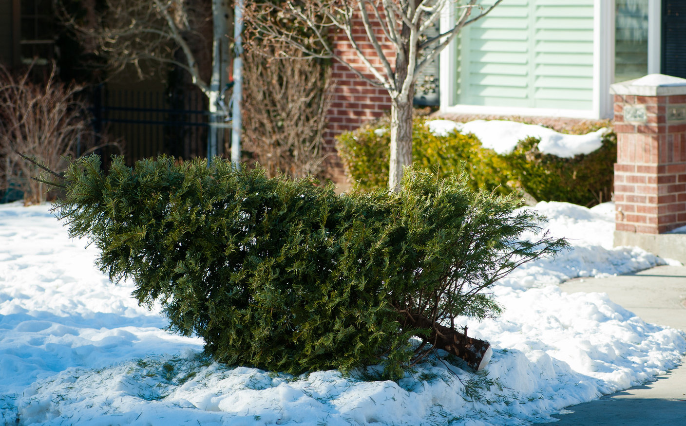 Recycled  Christmas Tree