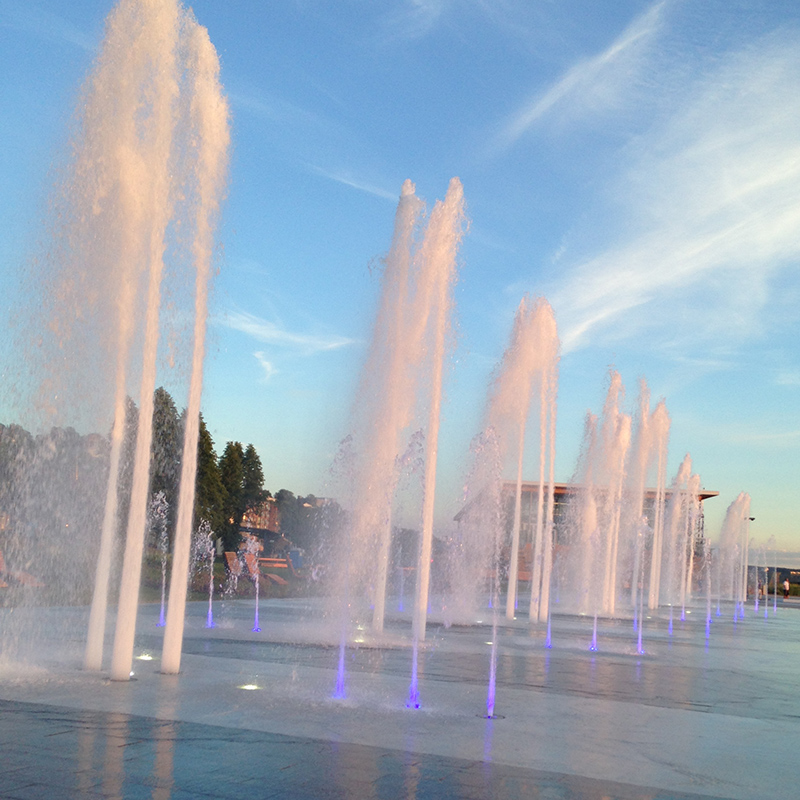 Inauguration Fontaine du Quai Paquet