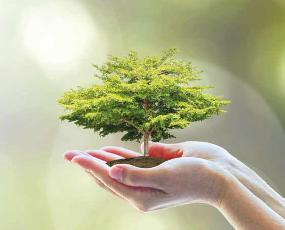 Arbre