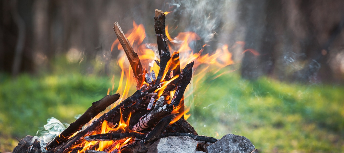 Bonfire in the spring forest. coals of fire